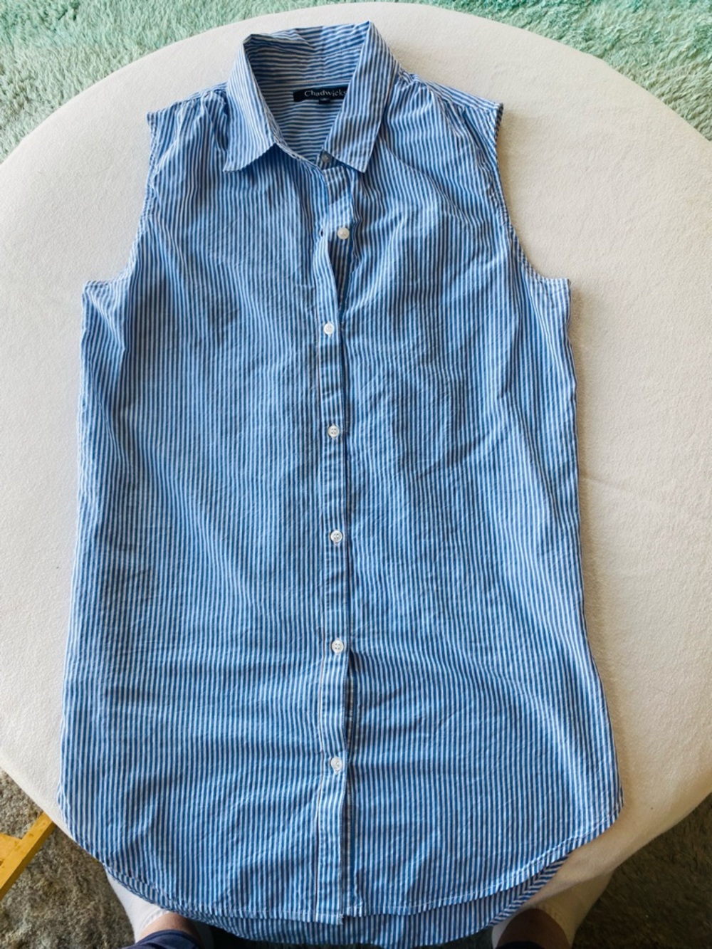 Chadwicks Blue and White Striped Sleeveless Button-Down Shirt
